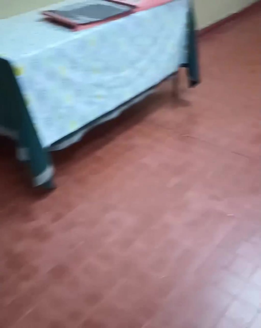 Inicio de clases: La escuela 12 de General Pico sufrió serias filtraciones de agua durante la intensa lluvia |VIDEO