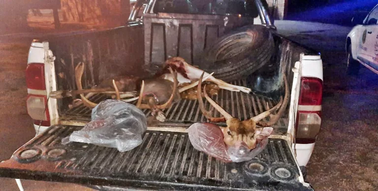 En Carro Quemado: detienen a tres hombres por caza furtiva y resistencia a la autoridad