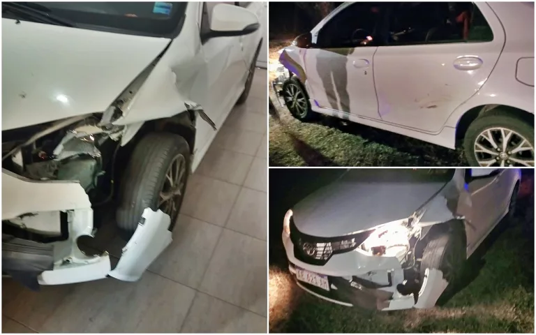 Accidente que pudo ser una tragedia en ruta provincial 102: Madre e hijo ilesos tras colisión con un cerdo suelto