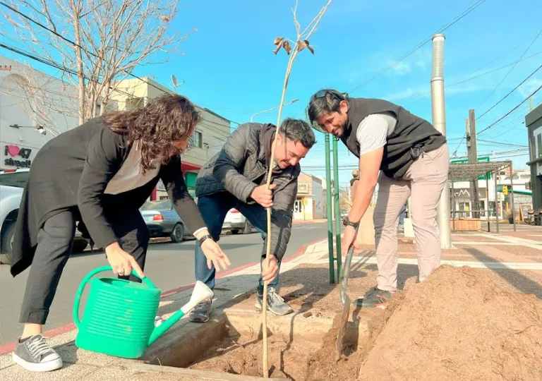 Reforestación en General Pico: colocan 60 nuevos árboles de lapacho en la zona céntrica