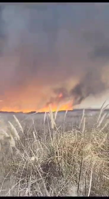Cortan la ruta que va a Metileo por un incendio de pastizales en medio de fuertes vientos