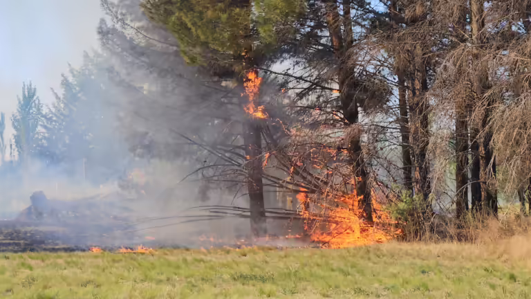 Incendio en “Verdes del Pinar” despierta viejos fantasmas: vecinos recuerdan el fuego de 2019