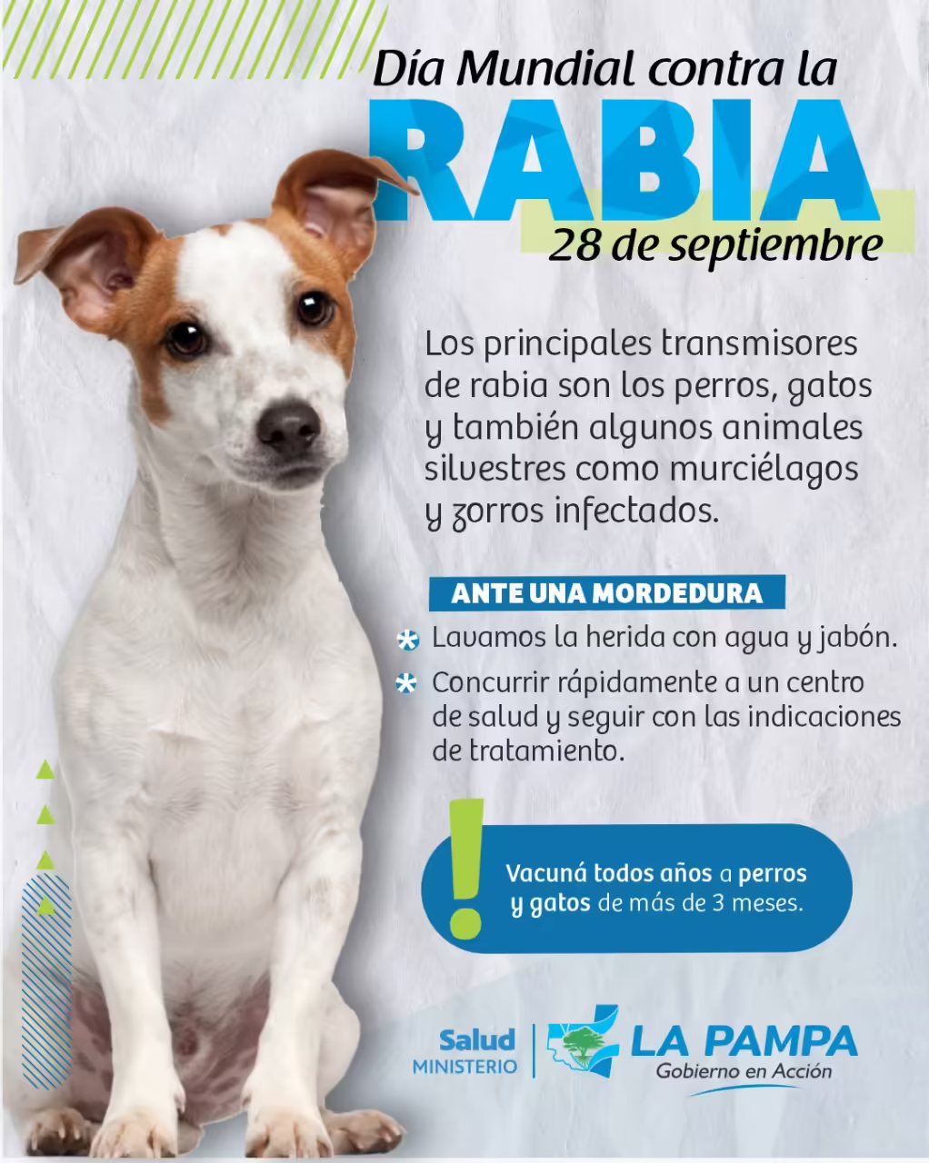 28 de septiembre: Día Mundial de la Rabia, una jornada para reforzar la prevención y vacunación