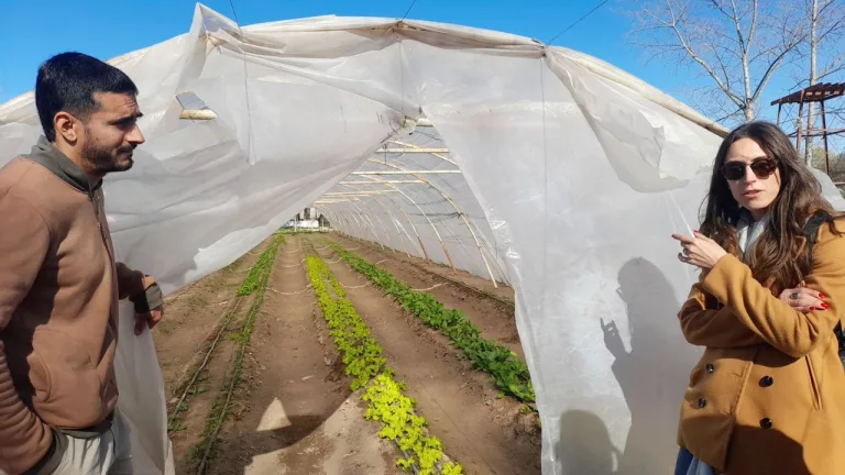 Desarrollan proyecto colaborativo de producción local en Ingeniero Luiggi