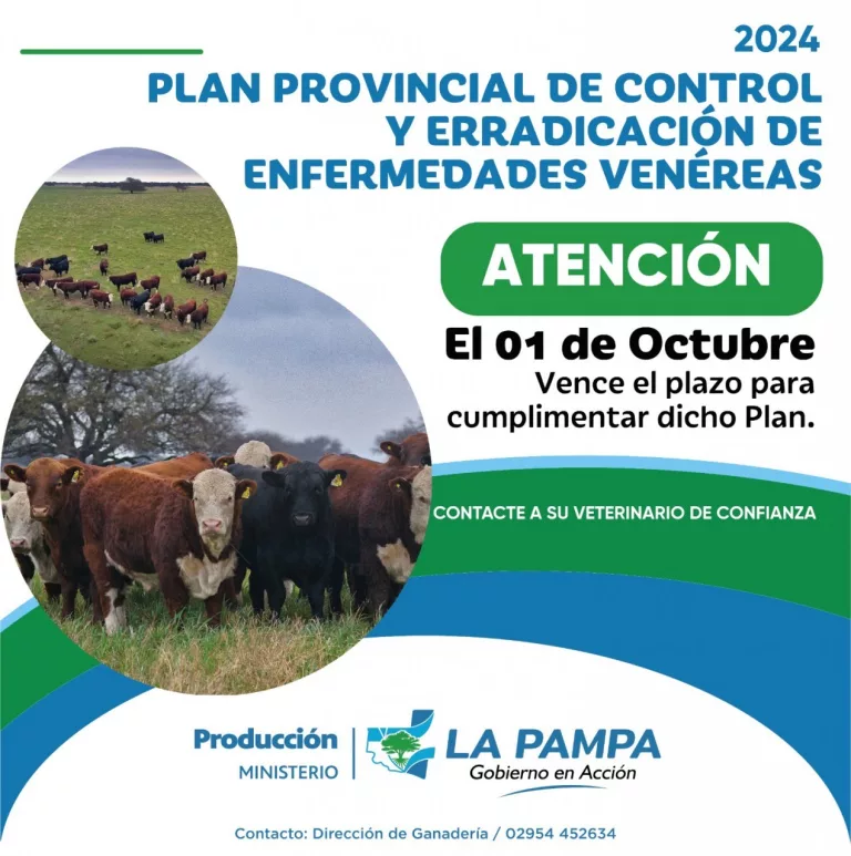 Alerta a ganaderos: vence el plazo para cumplir con el Plan de Control de Enfermedades Venéreas en bovinos