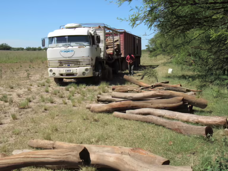 Normativas vigentes para el traslado y registro de productos forestales en La Pampa