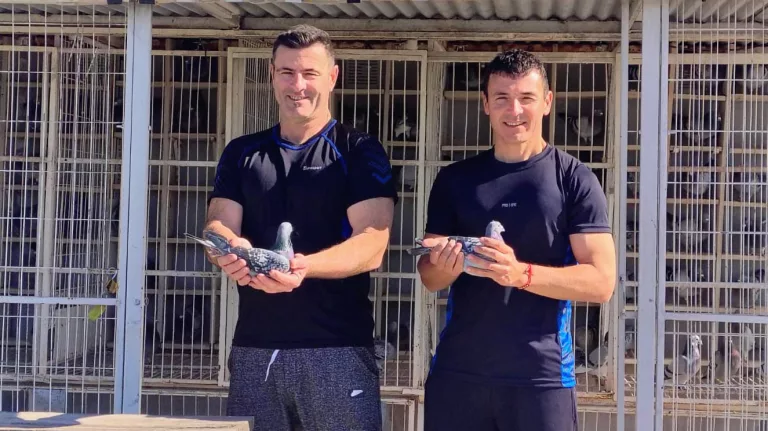 Colombofilia: El Tornado de Diego y Fabio Moreno son los primeros campeones del año
