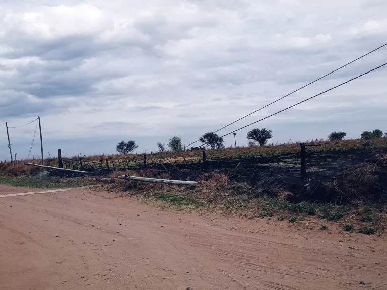 Incendio en las proximidades de Trebolares: Bomberos Voluntarios trabajan intensamente desde hace horas para controlarlo