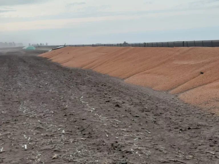 Dos demorados por el incendio cerca de Trebolares que quemó unas 500 hectáreas y silobolsas