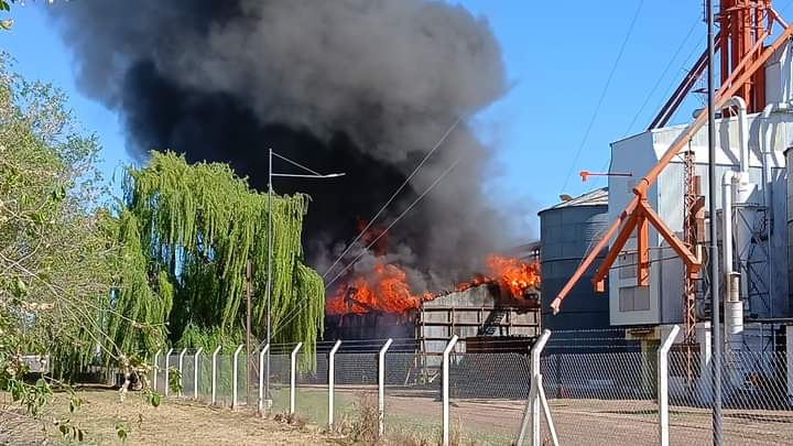 Ingeniero Luiggi: Bomberos solicitan que todos los lugares públicos y escuelas trasladen a las personas a zonas donde no esté llegando el humo