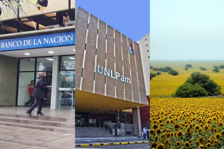 Banco Nación, Universidad, campo: la batalla cultural se pelea acá a la vuelta