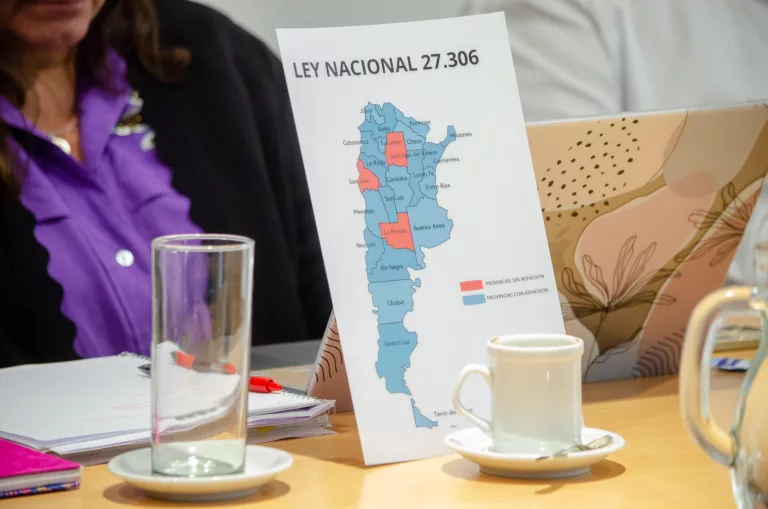 Impulsan adhesión a la Ley Nacional para garantizar la educación de personas con dificultades específicas de aprendizaje en La Pampa