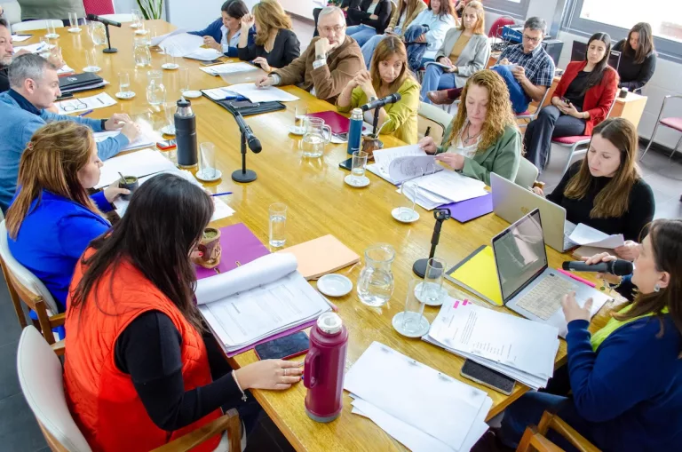 Comisión de Legislación Social y Salud aprueba por unanimidad múltiples proyectos, incluyendo campañas contra el trabajo infantil y adhesión a la Ley de atención perinatal