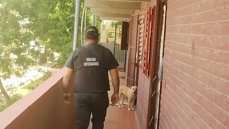 Tres menores detenidos por robo a tienda de indumentaria ubicada en el centro de Pico