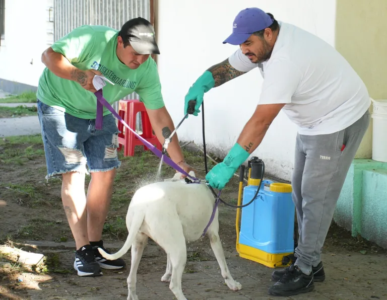 Más de 400 mascotas fueron atendidas en la segunda jornada de la campaña contra la garrapata y la rabia en General Pico