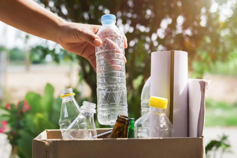 “Eco Canje”: canjeá tus residuos reciclables por un plantín