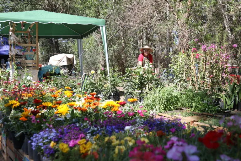 Expo Verde Primavera-Verano: más de 50 expositores y actividades para toda la familia en General Pico