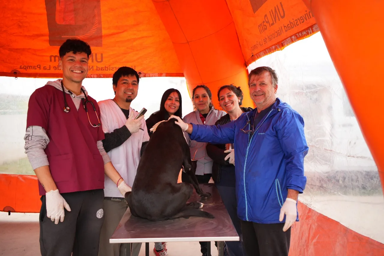 Refugio canino: estudiantes de veterinarias realizaron prácticas