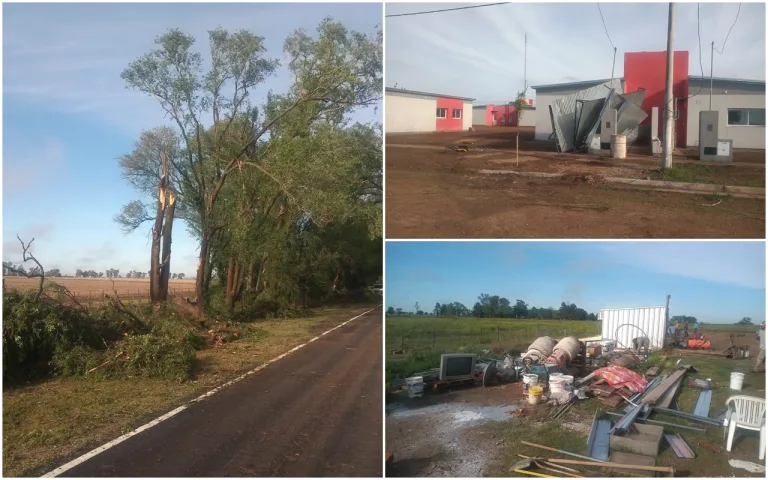 Tormenta en Quemú: fuertes vientos derribaron árboles y volaron techos