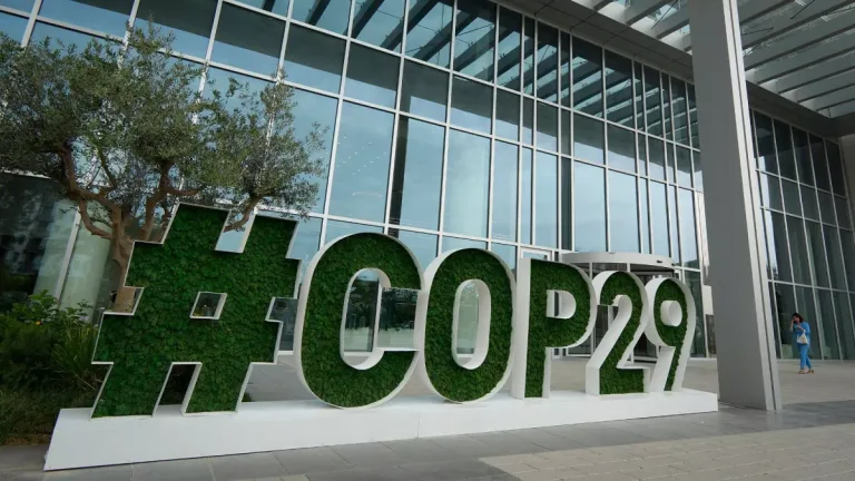 La Pampa puso en la agenda del COFEMA el impacto del retiro argentino de la COP 29