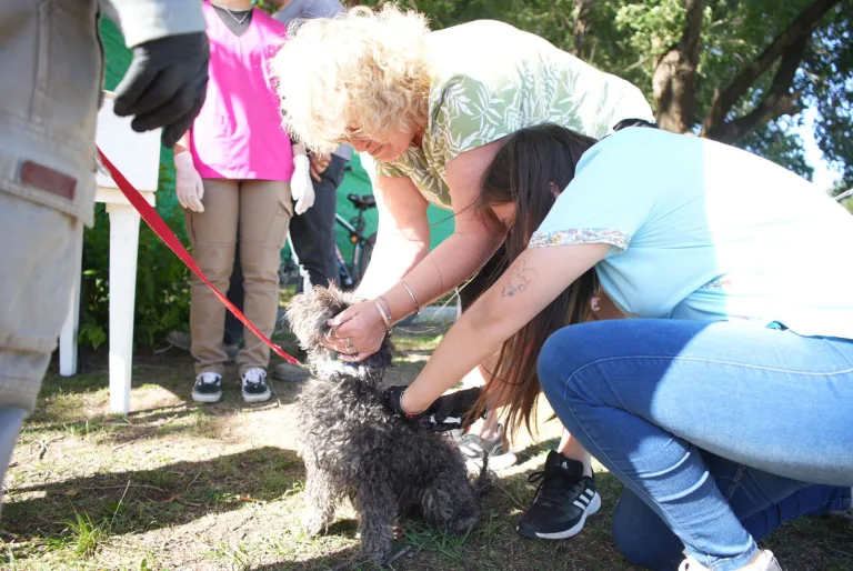 Última semana de vacunación y campaña antirrábica en General Pico: éxito y compromiso ciudadano