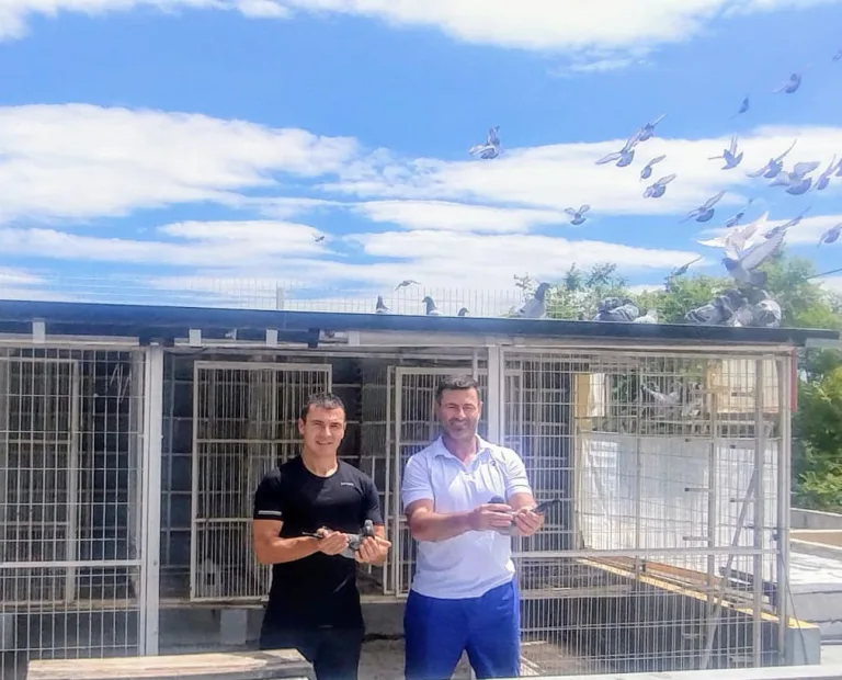 Colombofilia: triunfo de Campeones y un año de éxito en General Pico