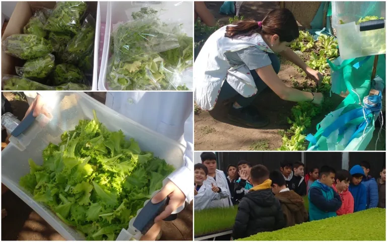 Escuela N°111 impulsa la educación sustentable con el proyecto ‘Huerta Escolar’