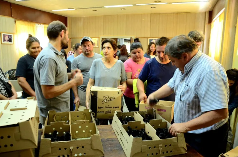 Entregaron ponedoras de la Granja Piloto a familias y pequeños  productores larroudenses