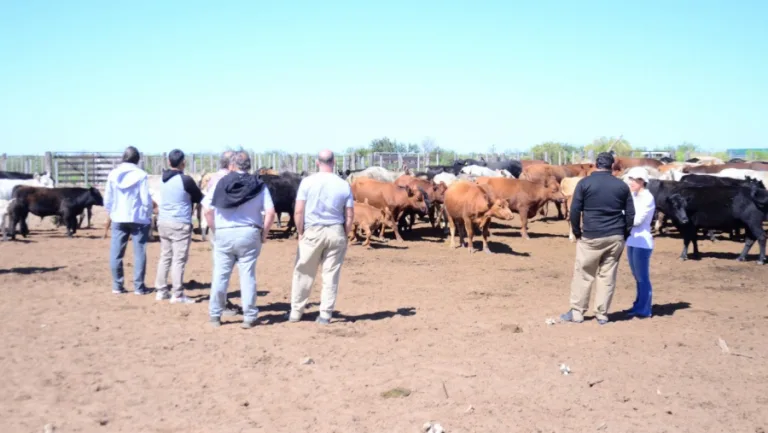 Producción recorrió el oeste provincial ante la mortandad de animales
