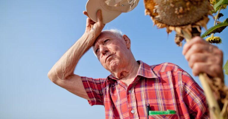 Cuidar la Salud en Verano: PAMI brinda consejos clave para prevenir golpes de calor en personas mayores