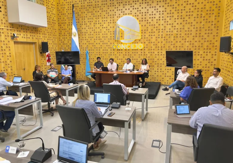 La Secretaría de Gobierno piquense presentó su plan económico 2025: presupuesto de $9.535 millones con fuerte aumento en bienes de capital y servicios