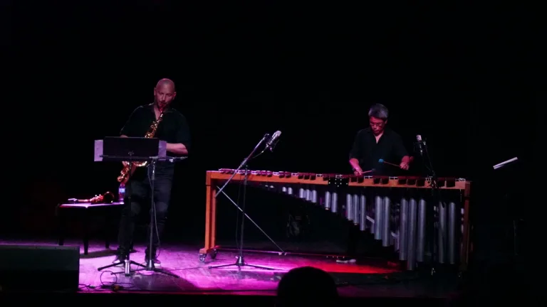El Ciclo de Música de Cámara brindó el último concierto del año