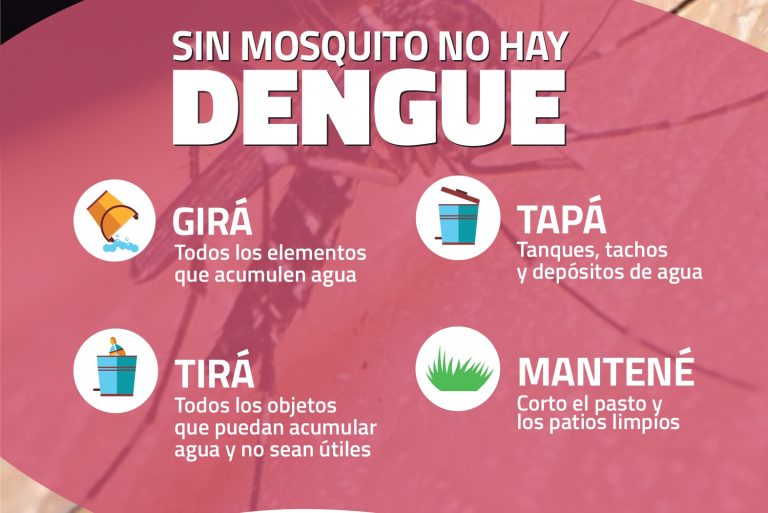 Prevención del dengue: la Municipalidad refuerza medidas contra el mosquito Aedes aegypti
