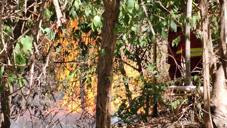 Incendio de pastizales movilizó a los bomberos en el vivero de 10 y 103