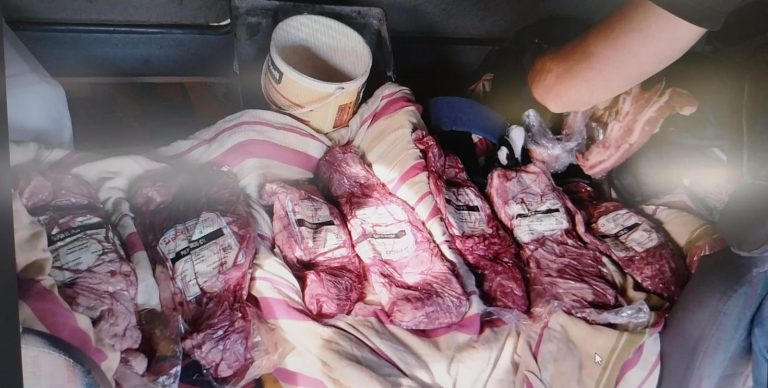 Detienen a tres empleados de frigorífico en Trenel y a un camionero por sustracción de cortes de carne