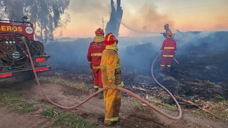 Incansable trabajo de bomberos tras incendio en la arboleda camino a Dorila: cuatro dotaciones trabajaron para controlar las llamas