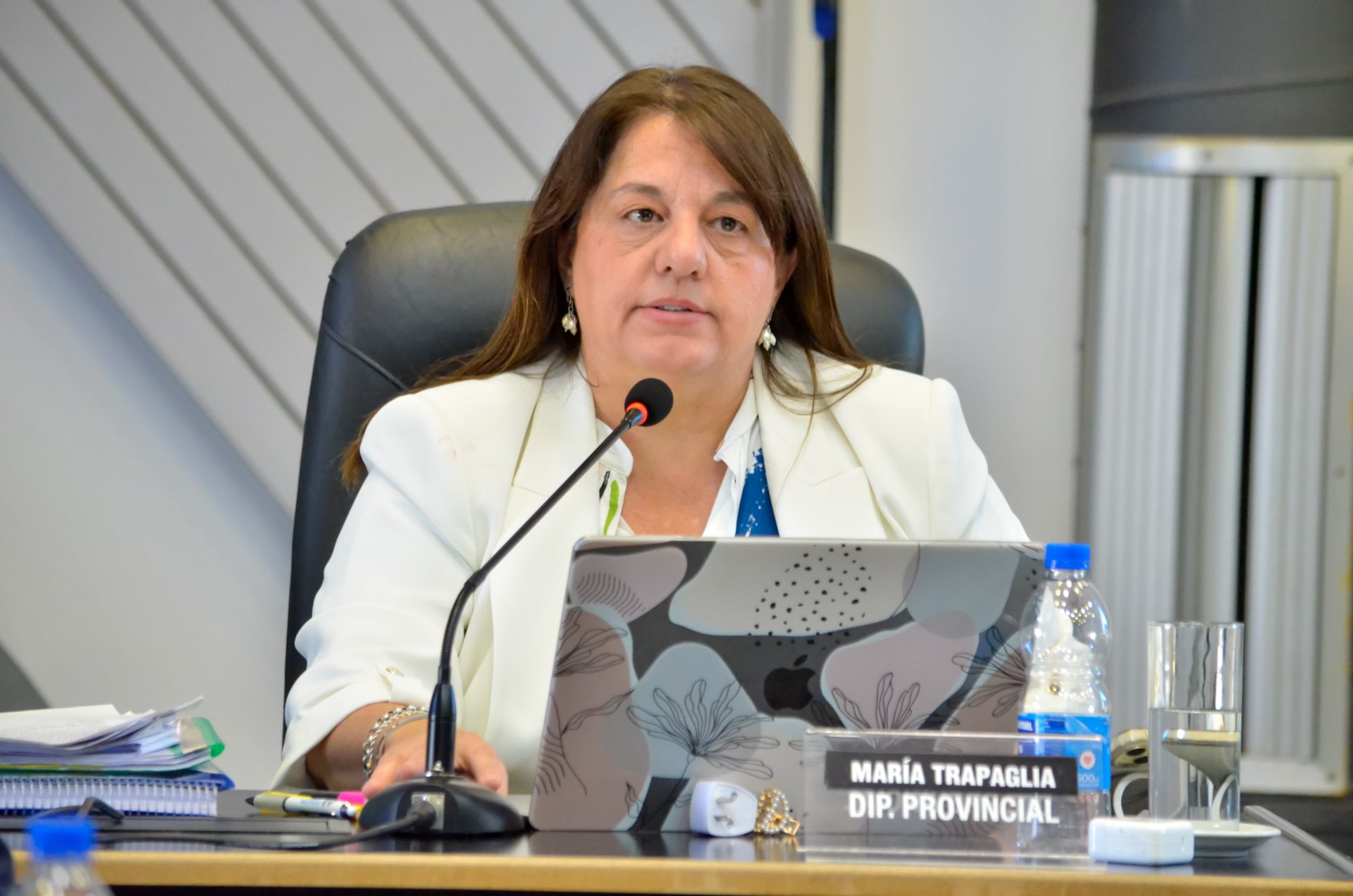 Trapaglia sobre Ficha Limpia: “Pedimos el tratamiento desde el 2020 y el oficialismo lo encajona”