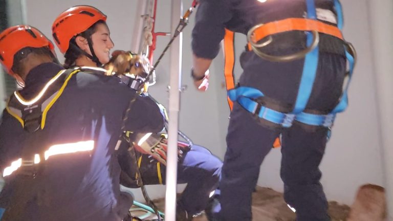 [VIDEO] Bomberos voluntarios rescataron un cachorro que se había caído a un pozo ciego de 8 metros