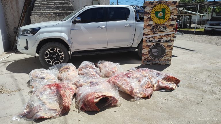 Detienen a hombre en fuga que transportaba 437 kg de carne sin cadena de frío en 25 de Mayo