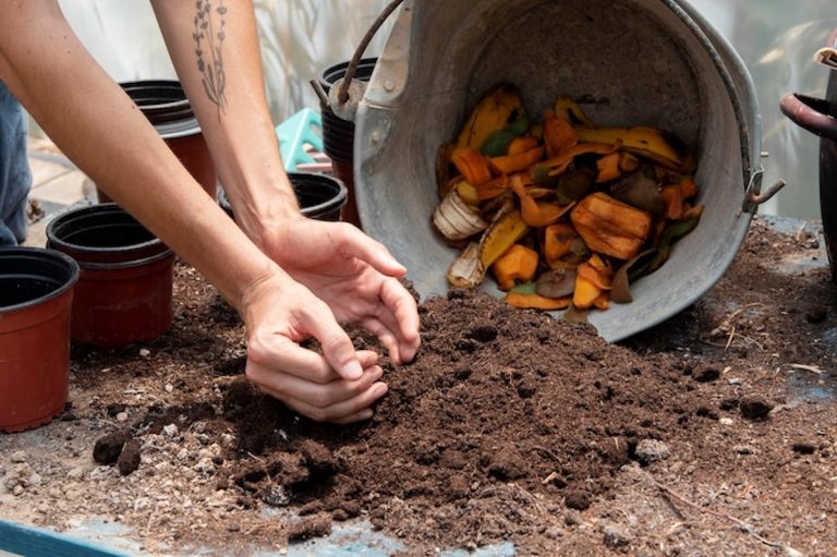 Jardinería Práctica: transforma tus desechos en oro verde con compost