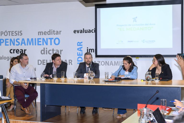 Los equipos del Gobierno explicaron en la Legislatura la licitación del área El Medanito