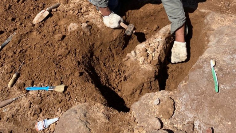 Rescatan fósiles de 11 millones de años tras lluvias en Macachín