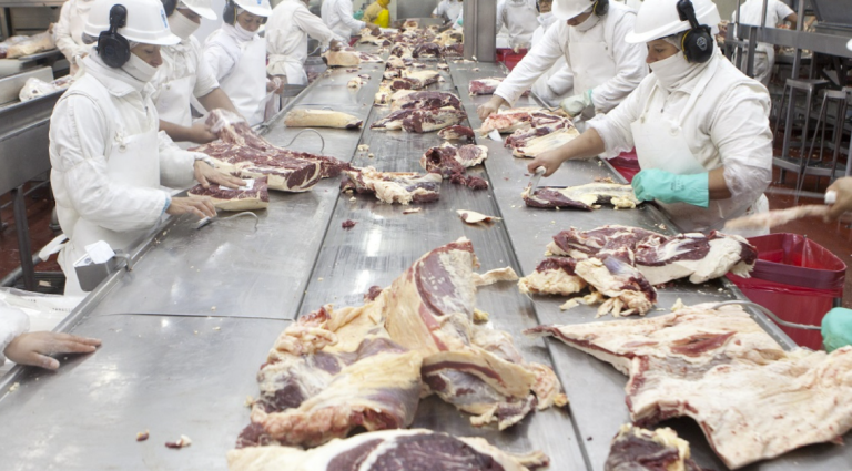 Marcha atrás: ahora el Gobierno Nacional suspendió por 90 días el permiso para que ingrese carne con hueso en el sur