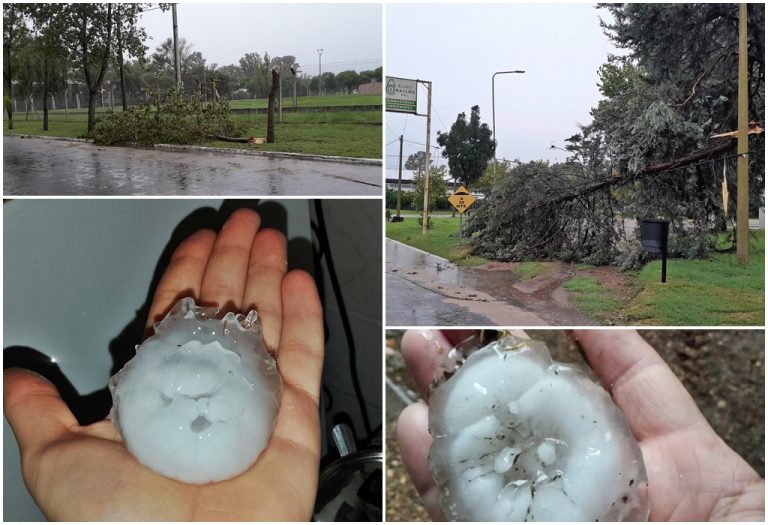 Fuerte temporal en Ceballos: piedra, viento y más de 300 mm de lluvia en diez días