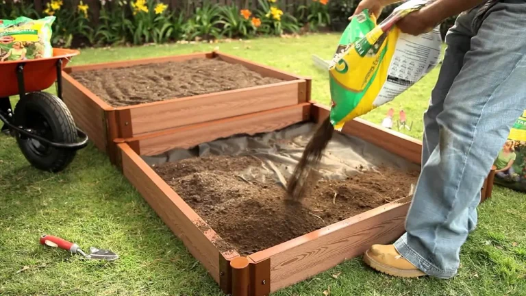 Jardinería práctica: hoy conoceremos las tareas de marzo