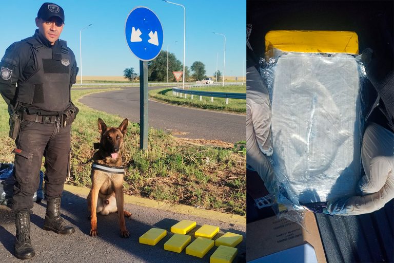 Operativo antinarcóticos: incautan 7,5 kilos de cocaína y desarticulan red de distribución en Santa Rosa y General Acha