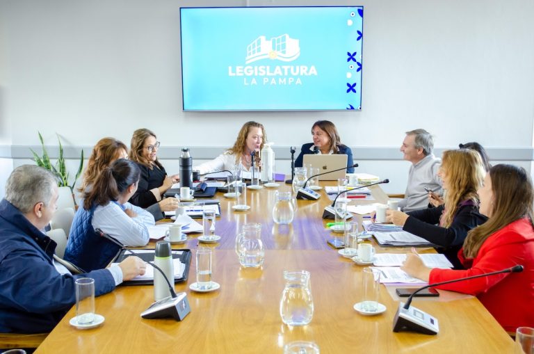Avanza en la Legislatura el cupo femenino en obra pública y la adhesión a la Ley Mica Ortega
