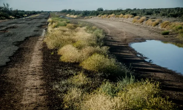 Alerta vial: el deterioro de rutas nacionales pone en jaque la seguridad y la producción en La Pampa
