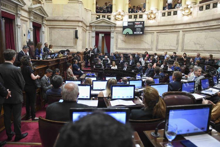 Un Senado que habló más en 2024: el rol de los pampeanos