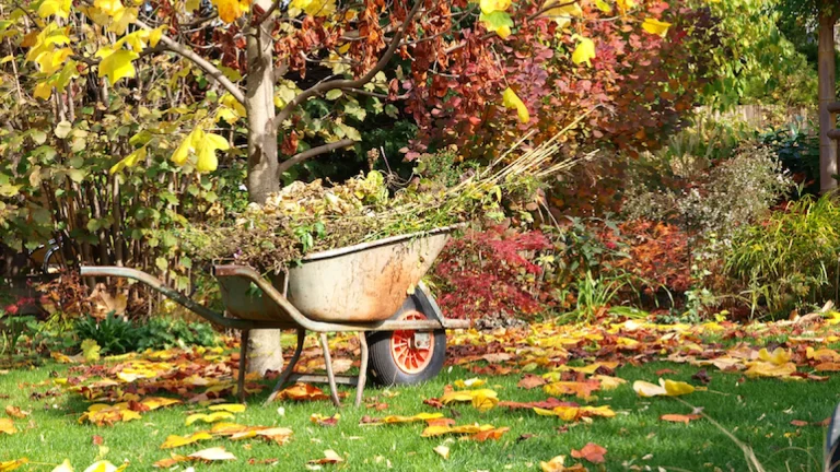 ¡Trabajá tu jardín en otoño y disfrutalo a pleno en primavera!: los consejos clave de Jimena Asquini